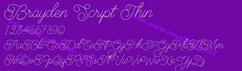 Brayden Script ThinPreview Brayden Script ThinPreview