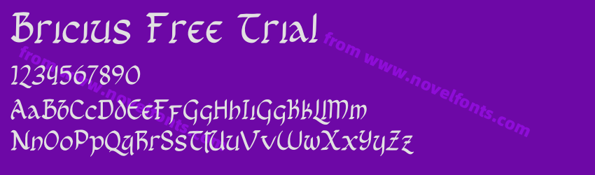 Bricius Free TrialPreview