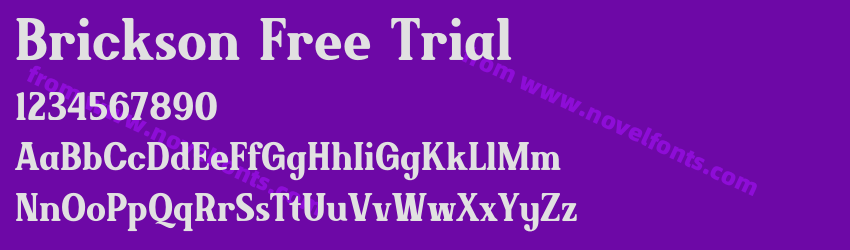 Brickson Free TrialPreview Brickson Free TrialPreview