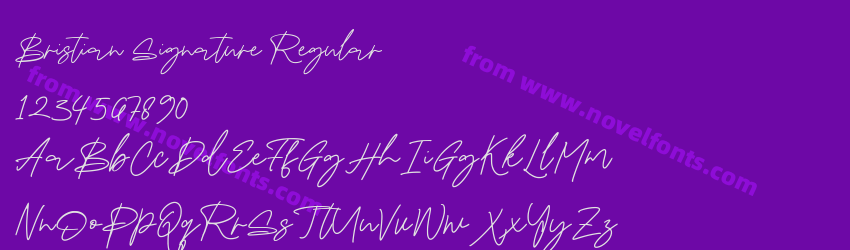 Bristian Signature RegularPreview Bristian Signature RegularPreview