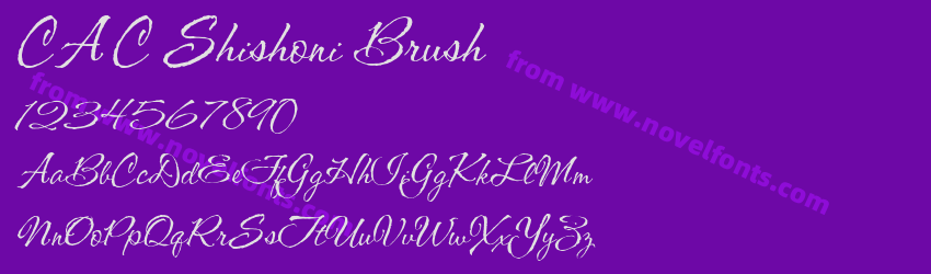 CAC Shishoni BrushPreview CAC Shishoni BrushPreview