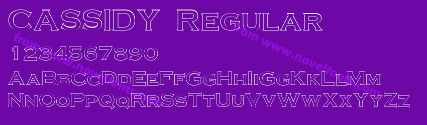 CASSIDY RegularPreview CASSIDY RegularPreview