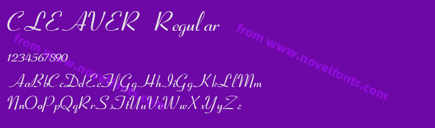 CLEAVER RegularPreview CLEAVER RegularPreview