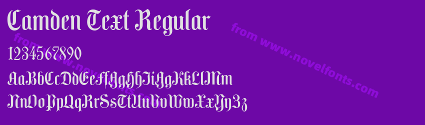 Camden Text RegularPreview Camden Text RegularPreview