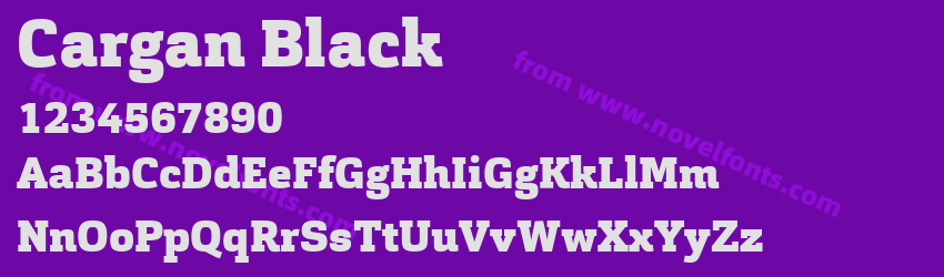 Cargan BlackPreview Cargan BlackPreview