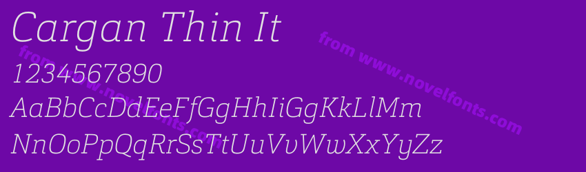 Cargan Thin ItPreview Cargan Thin ItPreview