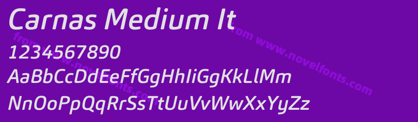 Carnas Medium ItPreview Carnas Medium ItPreview