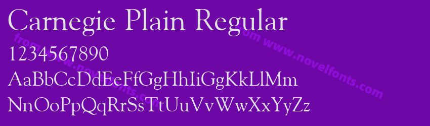 Carnegie Plain RegularPreview Carnegie Plain RegularPreview
