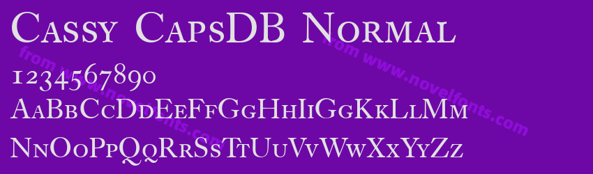 Cassy CapsDB NormalPreview Cassy CapsDB NormalPreview