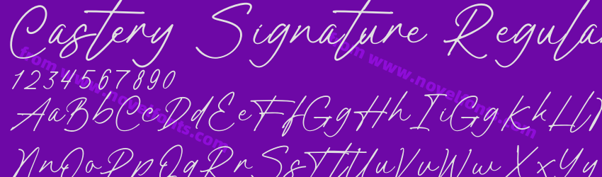 Castery Signature RegularPreview Castery Signature RegularPreview