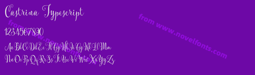 Castrina TypescriptPreview Castrina TypescriptPreview