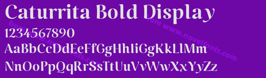 Caturrita Bold DisplayPreview Caturrita Bold DisplayPreview