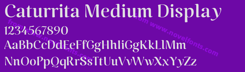 Caturrita Medium DisplayPreview Caturrita Medium DisplayPreview