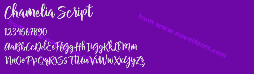 Chamelia ScriptPreview Chamelia ScriptPreview