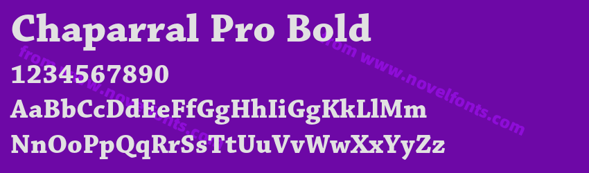 Chaparral Pro BoldPreview Chaparral Pro BoldPreview