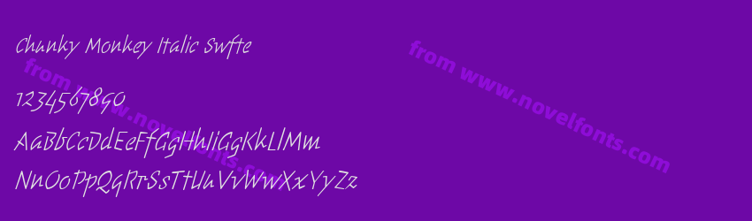 Chunky Monkey Italic SwftePreview Chunky Monkey Italic SwftePreview