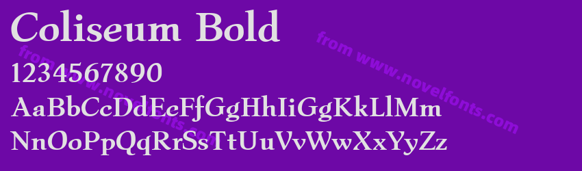 Coliseum BoldPreview Coliseum BoldPreview
