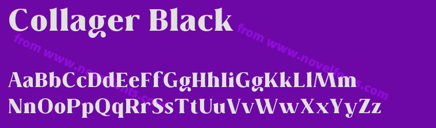 Collager BlackPreview Collager BlackPreview