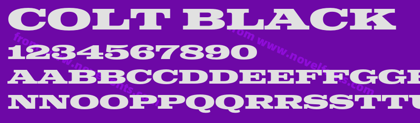 Colt BlackPreview Colt BlackPreview