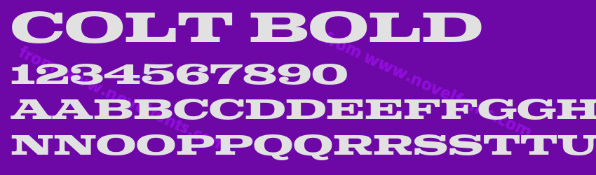 Colt BoldPreview Colt BoldPreview