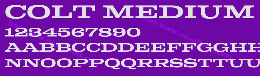 Colt MediumPreview Colt MediumPreview