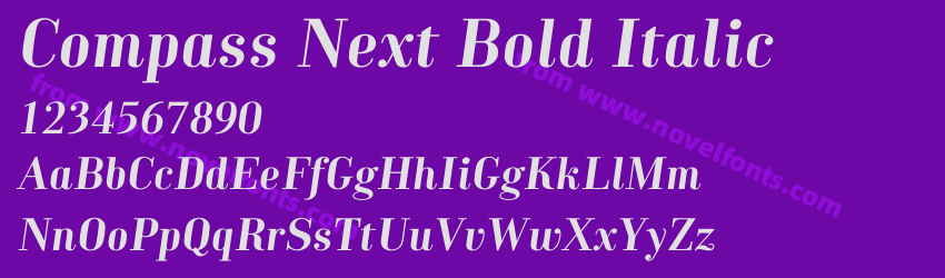 Compass Next Bold ItalicPreview Compass Next Bold ItalicPreview