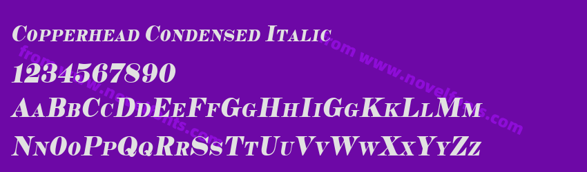 Copperhead Condensed ItalicPreview Copperhead Condensed ItalicPreview