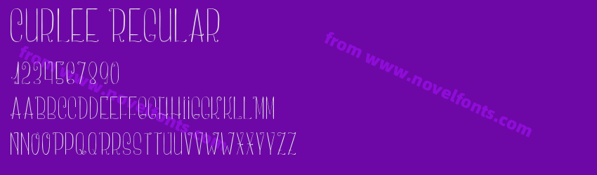 Curlee RegularPreview Curlee RegularPreview