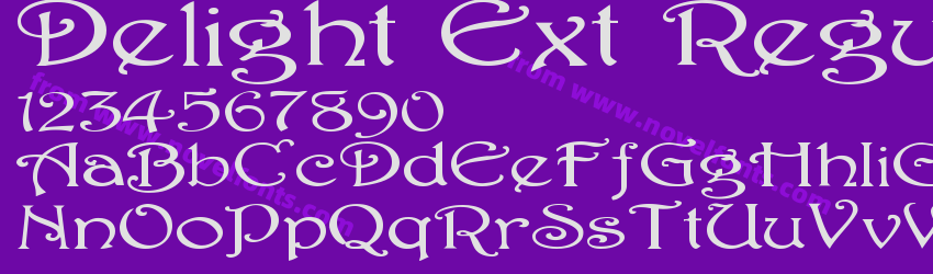 Delight Ext RegularPreview Delight Ext RegularPreview