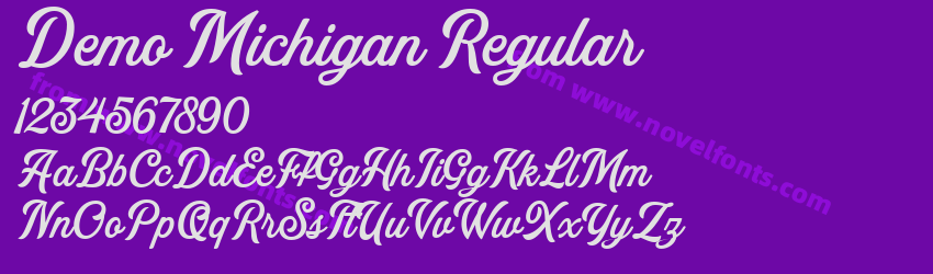 Demo Michigan RegularPreview Demo Michigan RegularPreview