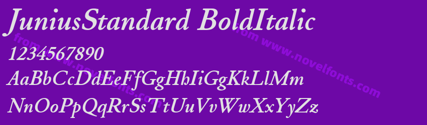 Junius Standard Bold ItalicPreview