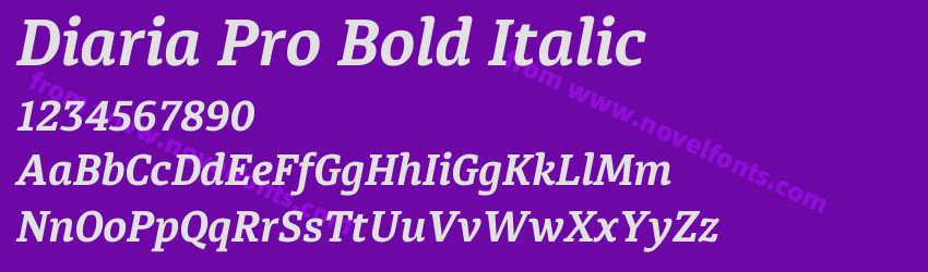 Diaria Pro Bold ItalicPreview Diaria Pro Bold ItalicPreview