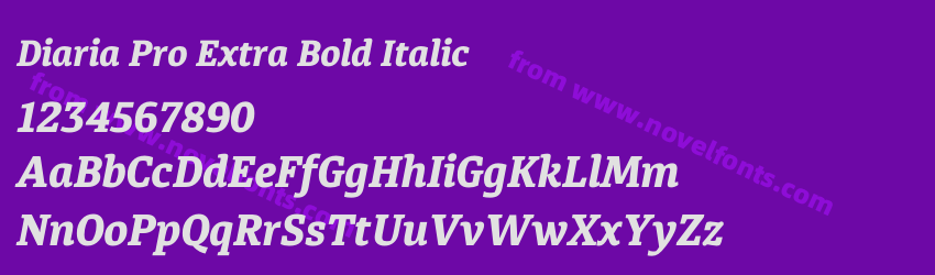 Diaria Pro Extra Bold ItalicPreview
