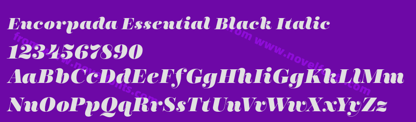 Encorpada Essential Black ItalicPreview Encorpada Essential Black ItalicPreview