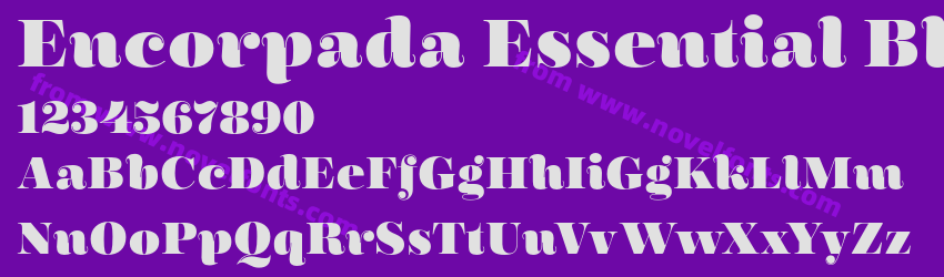 Encorpada Essential BlackPreview Encorpada Essential BlackPreview