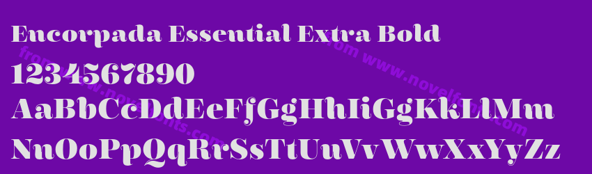 Encorpada Essential Extra BoldPreview Encorpada Essential Extra BoldPreview