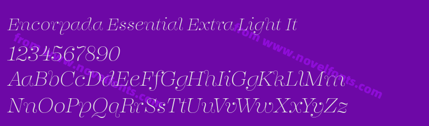 Encorpada Essential Extra Light ItPreview Encorpada Essential Extra Light ItPreview