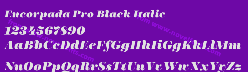 Encorpada Pro Black ItalicPreview Encorpada Pro Black ItalicPreview