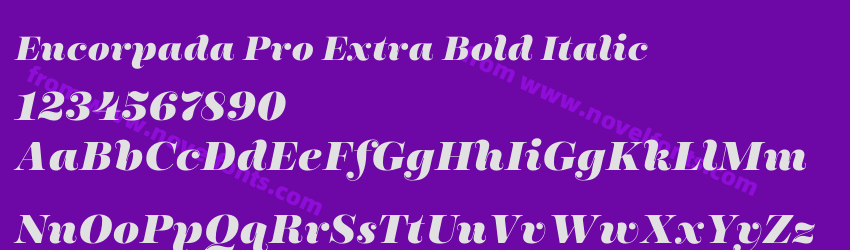 Encorpada Pro Extra Bold ItalicPreview Encorpada Pro Extra Bold ItalicPreview