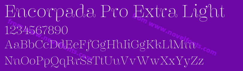 Encorpada Pro Extra LightPreview Encorpada Pro Extra LightPreview