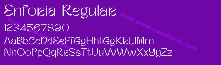 Enforia RegularPreview