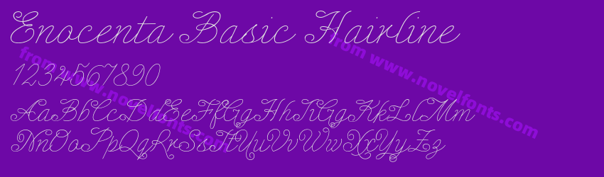 Enocenta Basic HairlinePreview Enocenta Basic HairlinePreview