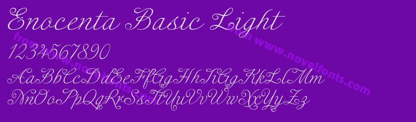 Enocenta Basic LightPreview Enocenta Basic LightPreview