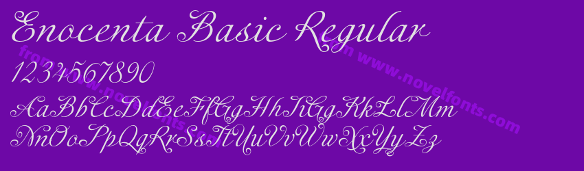 Enocenta Basic RegularPreview Enocenta Basic RegularPreview