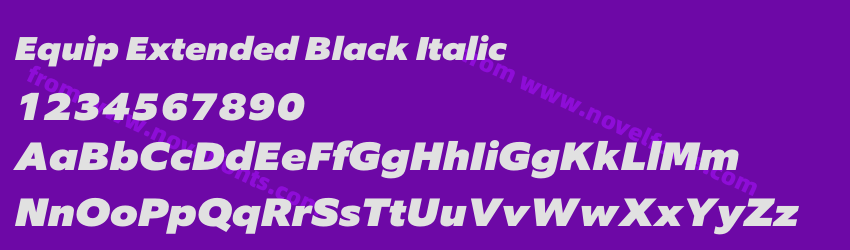 Equip Extended Black ItalicPreview Equip Extended Black ItalicPreview