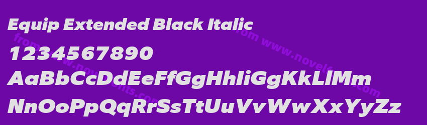 Equip Extended Black ItalicPreview Equip Extended Black ItalicPreview