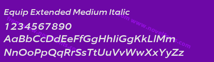 Equip Extended Medium ItalicPreview Equip Extended Medium ItalicPreview
