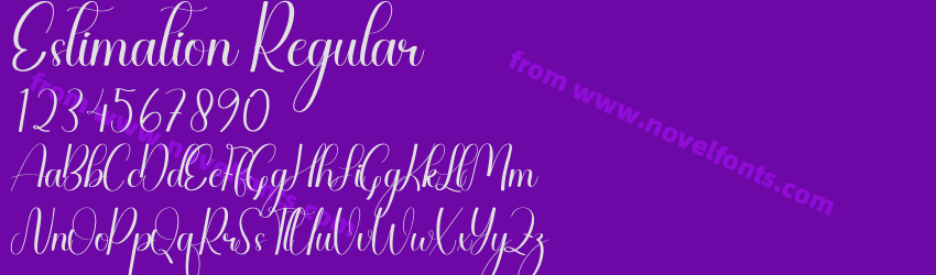 Estimation RegularPreview Estimation RegularPreview