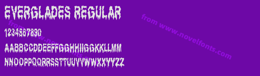 Everglades RegularPreview Everglades RegularPreview