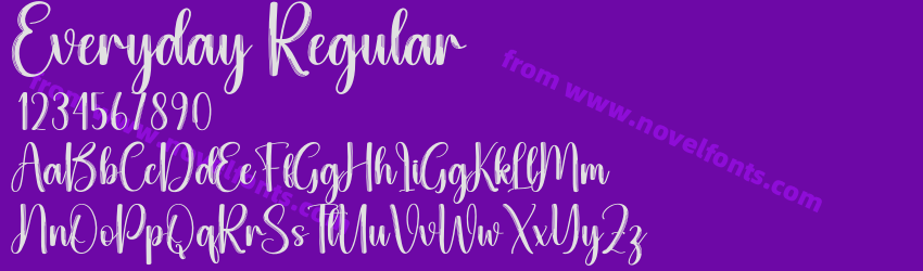 Everyday RegularPreview Everyday RegularPreview